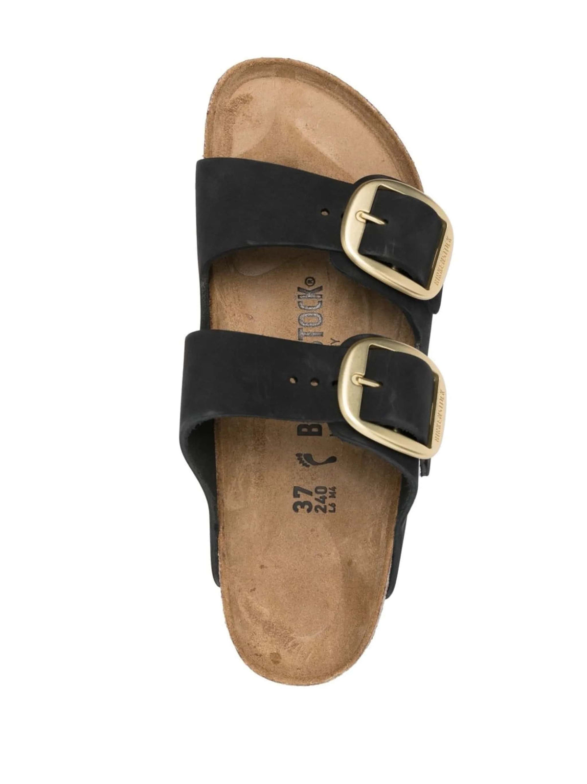 Arizona Big Buckle