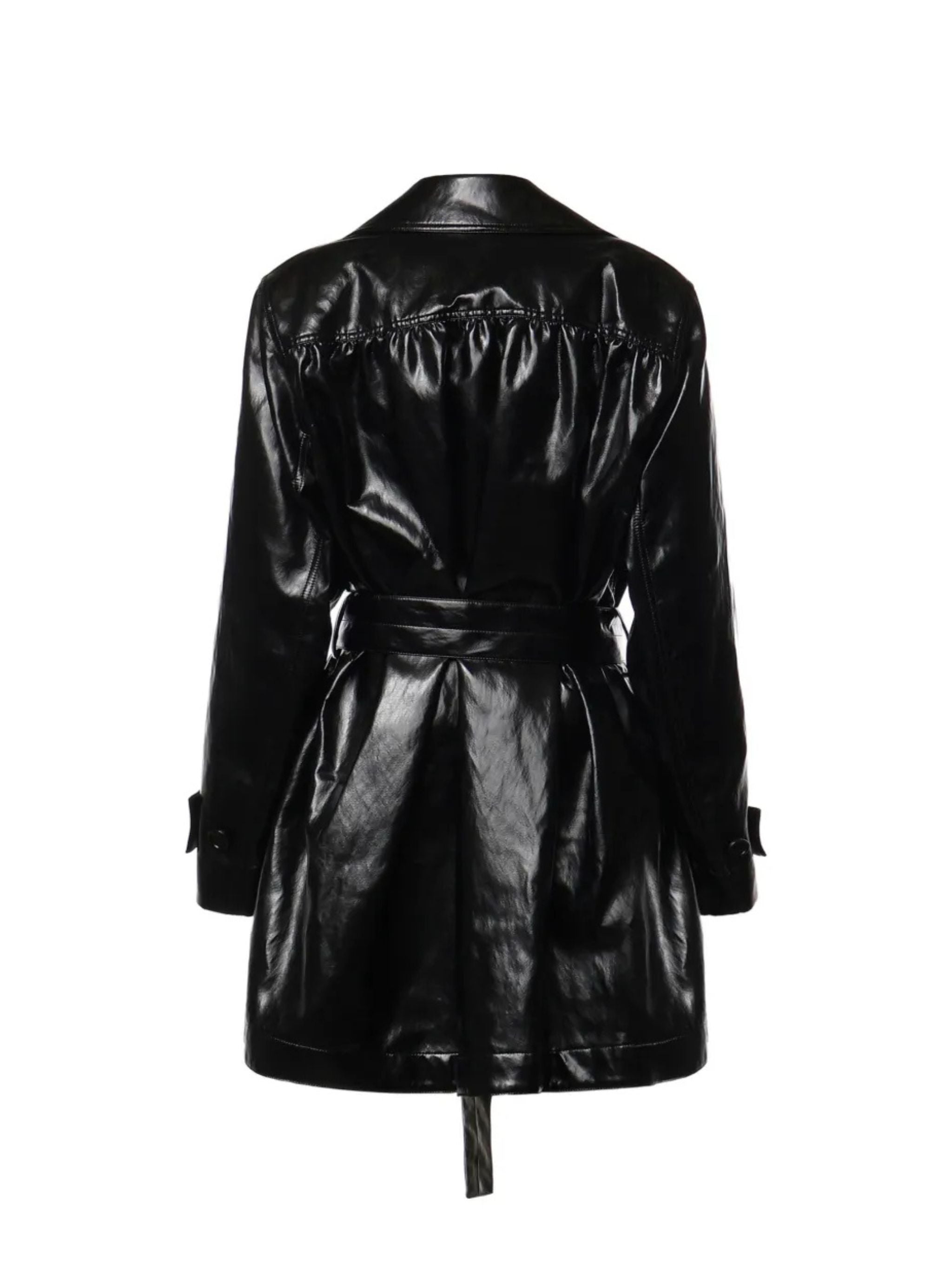 Trench Shiny
