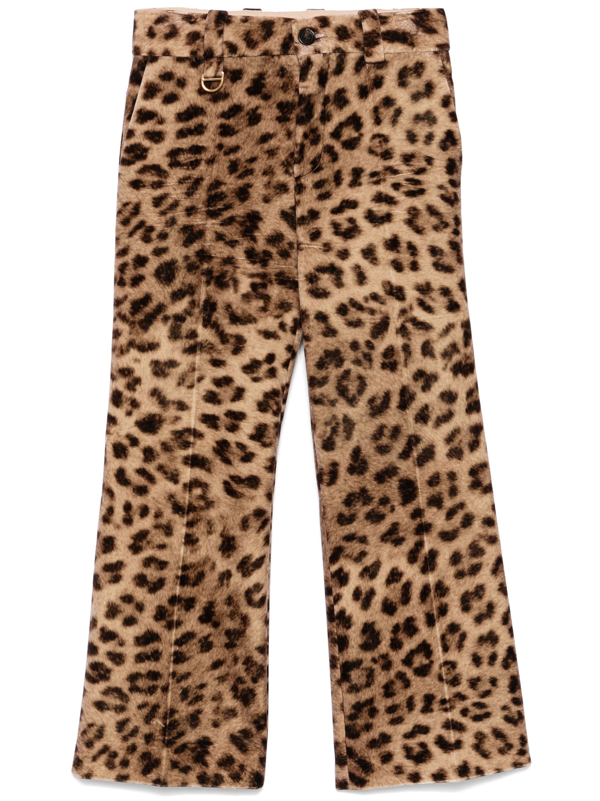 Panta fleur st leo