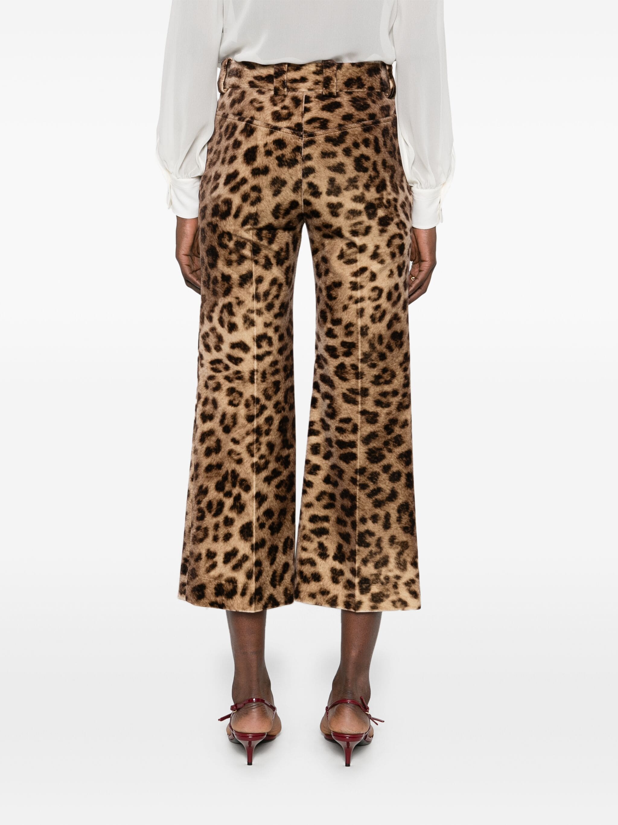Panta fleur st leo