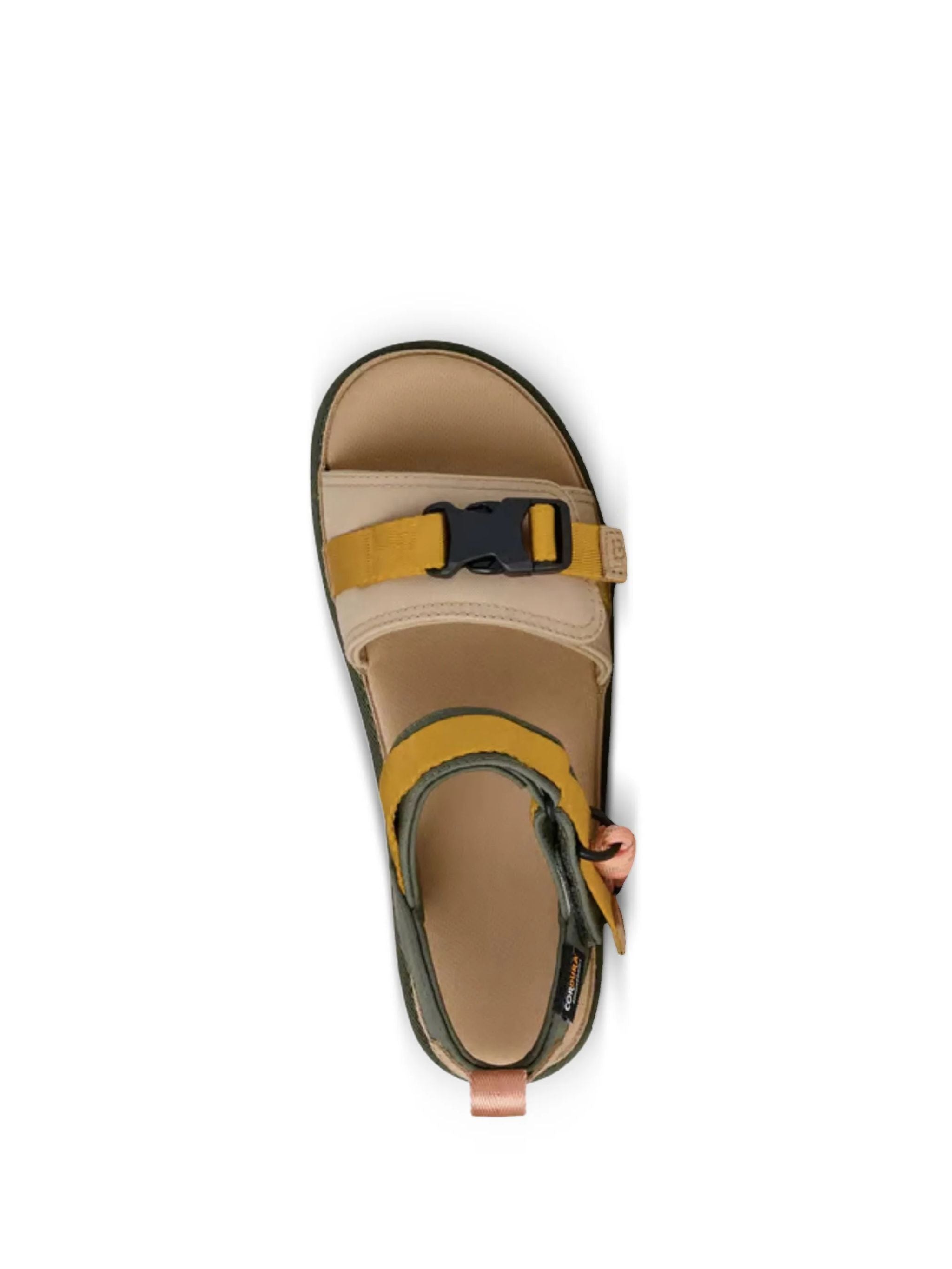 Donna Sandali Goldenstar Wildwood